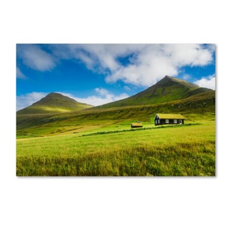 Trademark Fine Art Philippe Sainte-Laudy 'For a Better Day' Canvas Art, 16x24 PSL0960-C1624GG